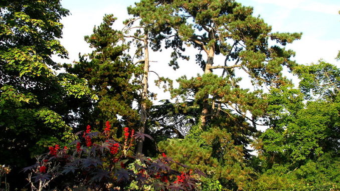 Stará botanická zahrada, Curych, Švýcarsko